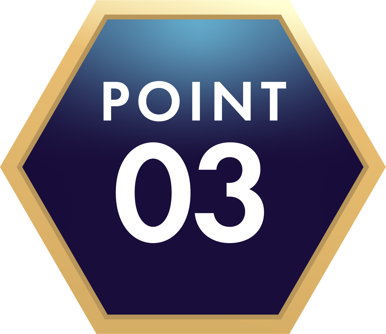 POINT 03