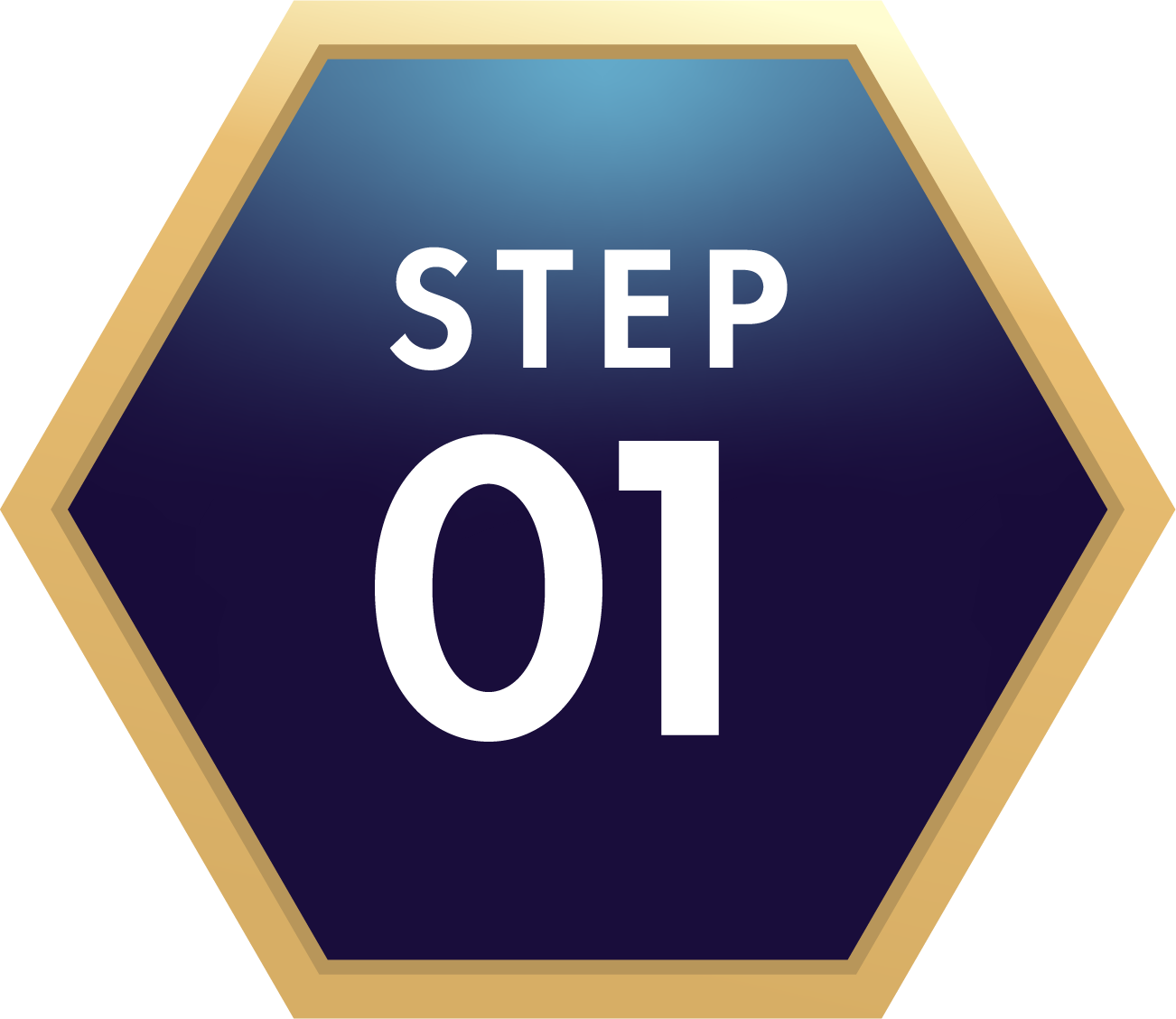 STEP 01
